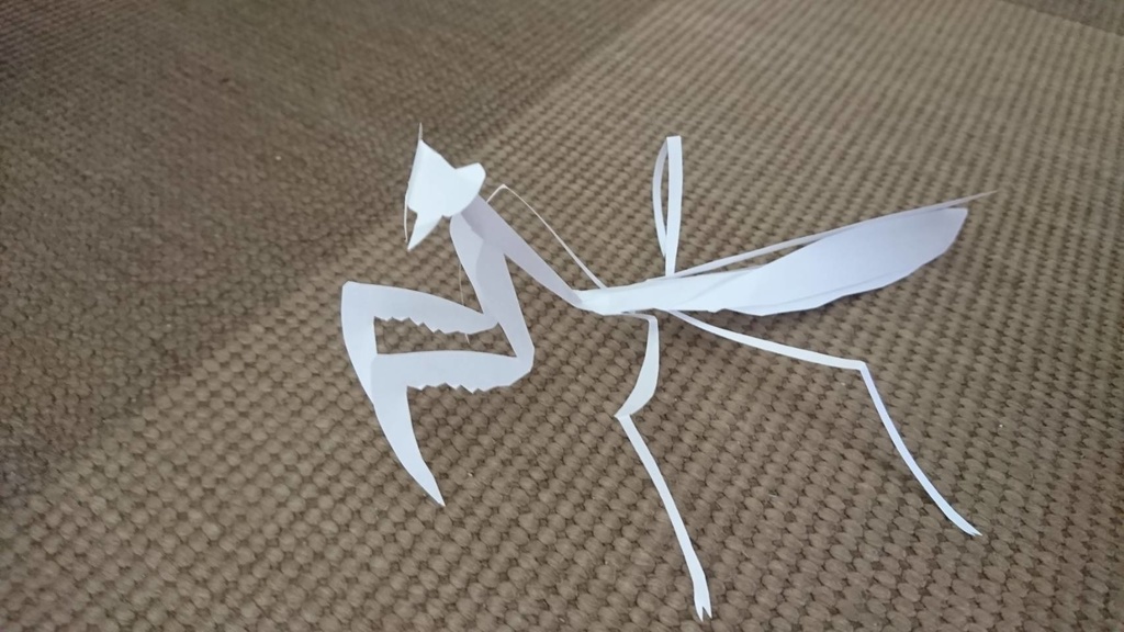 紙切り虫（カマキリ）の紹介画像